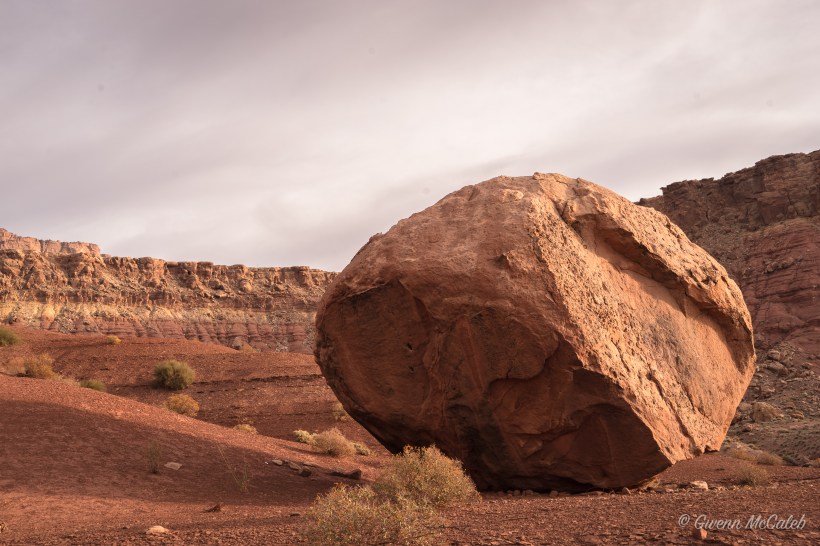 vermillion-cliffs_-2